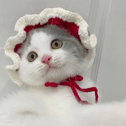 Meowdorable Knit Cosplay Hat