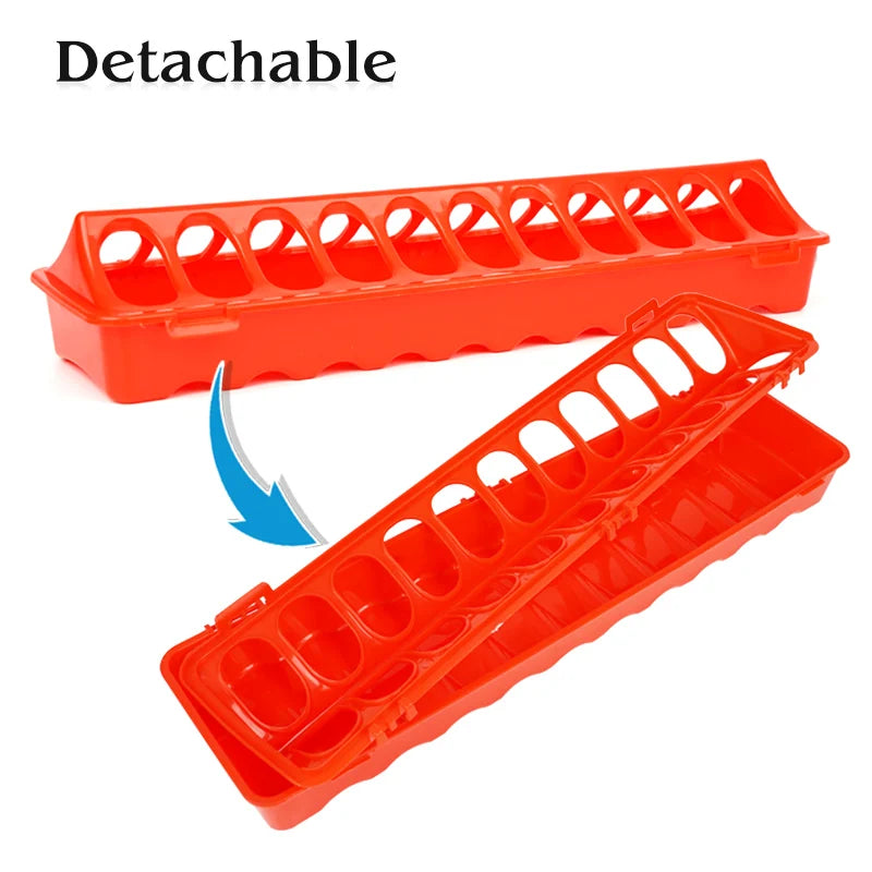 Peck & Feast Poultry Feeder