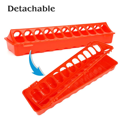 Peck & Feast Poultry Feeder
