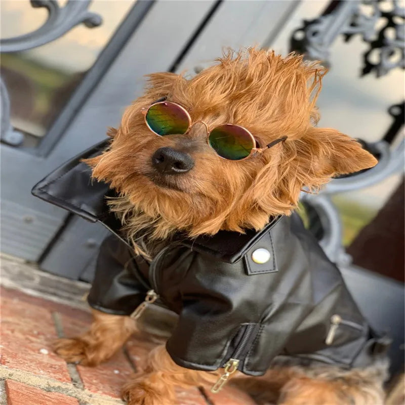 RebelTail Eagle Rider Jacket