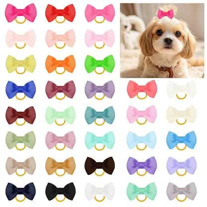 Bark’n Bows