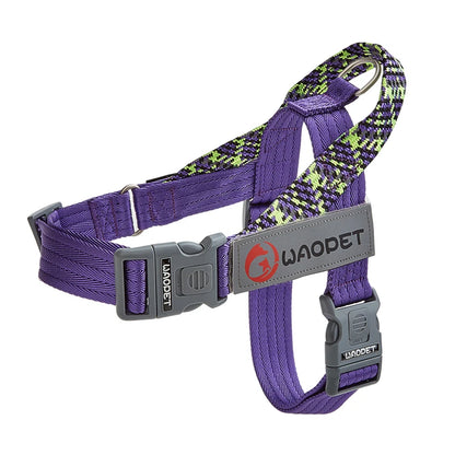 Stridezilla Harness