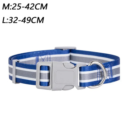 PrideStride Leash & Collar Set