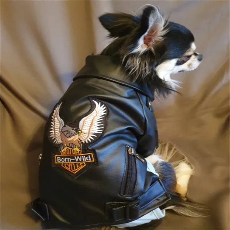 RebelTail Eagle Rider Jacket