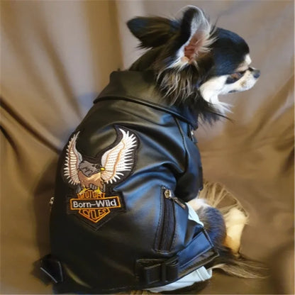 RebelTail Eagle Rider Jacket