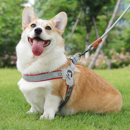 PawVoyage Mesh Harness