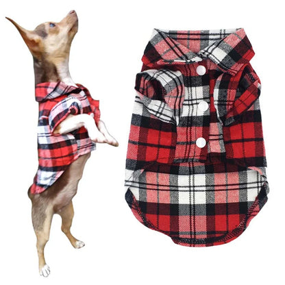 Pawsh Plaid Coat