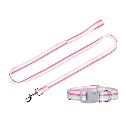 PrideStride Leash & Collar Set