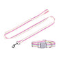 PrideStride Leash & Collar Set