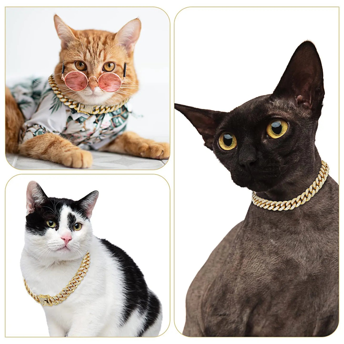 Bark & Bling™ Cuban Luxe Collar