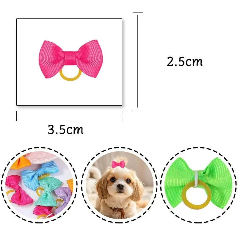 Bark’n Bows