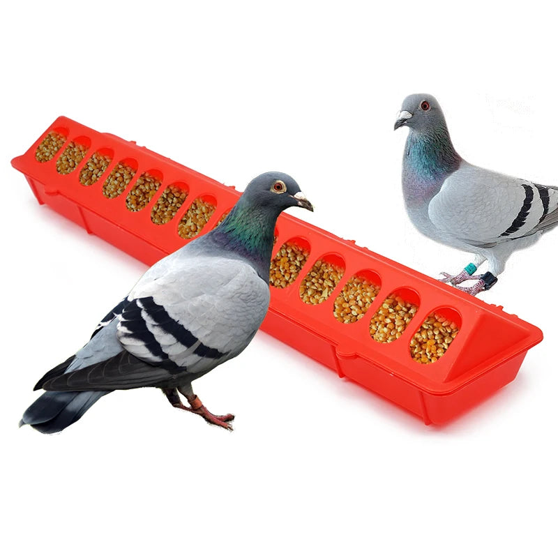 Peck & Feast Poultry Feeder