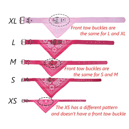 Wag & Whisker Scarf Collar