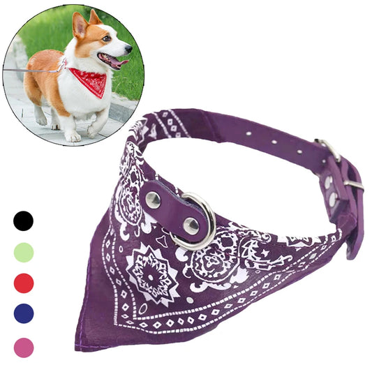 Wag & Whisker Scarf Collar