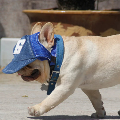 Pawshade PupCap