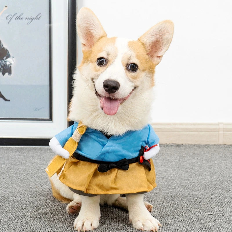 PetStand Comedy Suit