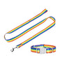 PrideStride Leash & Collar Set