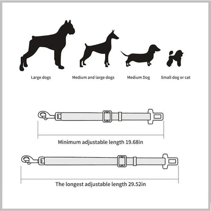 Sit, Stay & Buckle Pet Car Safety Belt