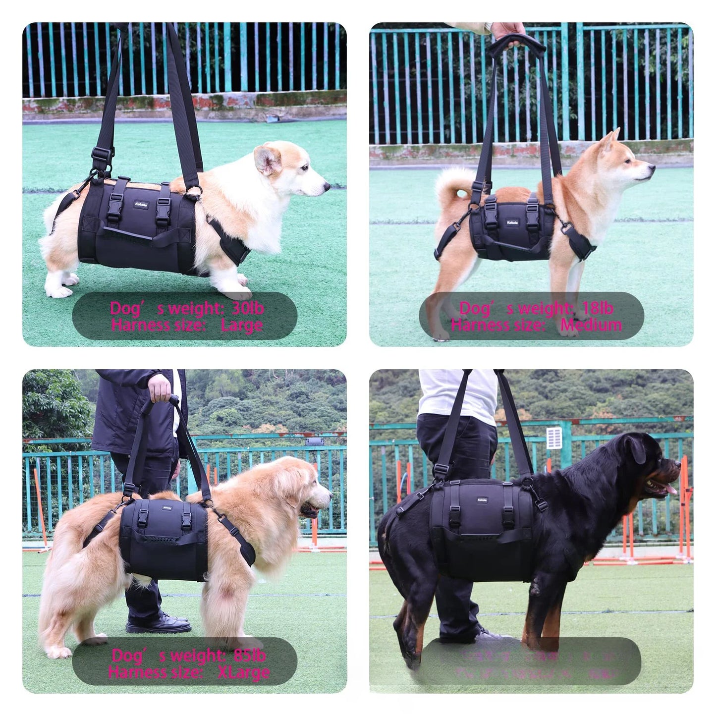 PawLift Support Sling