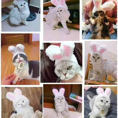 BunnyWhiskers Cozy Cat Hat