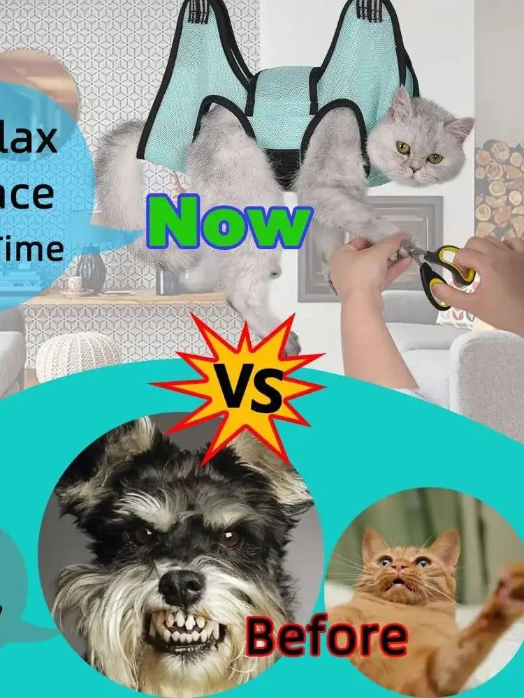 PawSpa Hangout