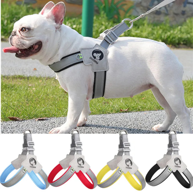 PawVoyage Mesh Harness