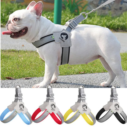 PawVoyage Mesh Harness