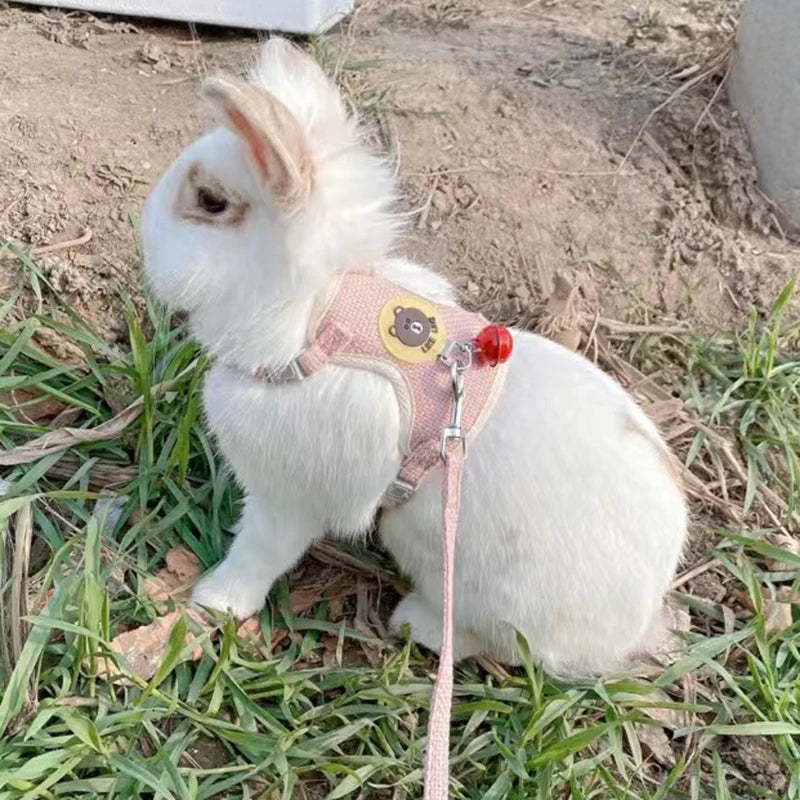 HopAlong Rabbit Harness and Leash