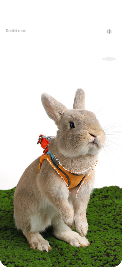 BunnyTrek Adventure Harness Set