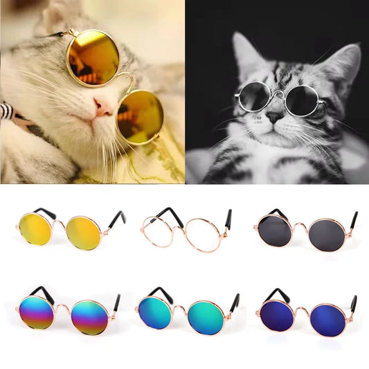 Pawparazzi Shades