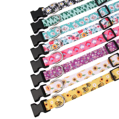 FloraFetch Collar