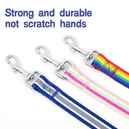 PrideStride Leash & Collar Set