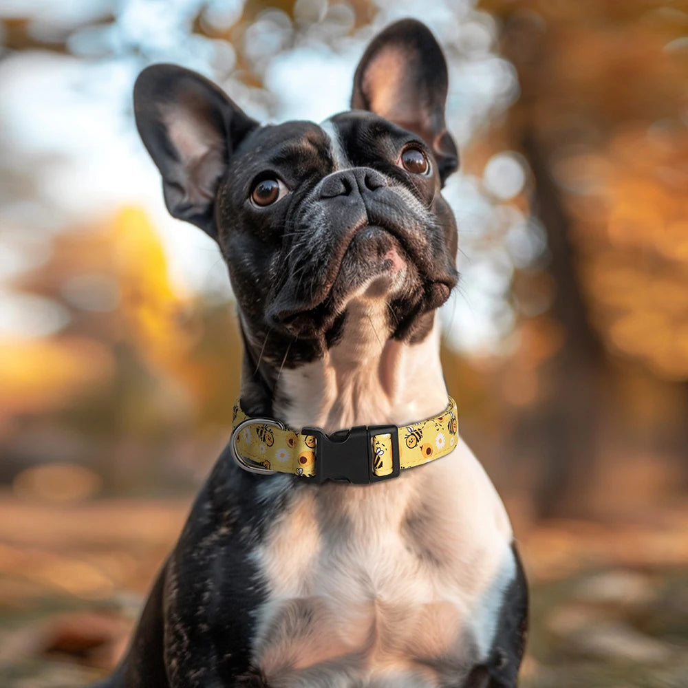 FloraFetch Collar