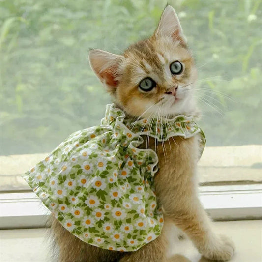 BlossomPaws Summer Dress