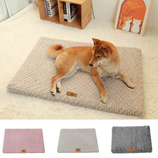 CloudNest Orthopedic Pet Bed