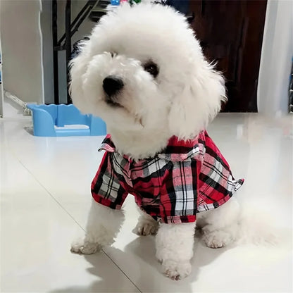 Pawsh Plaid Coat