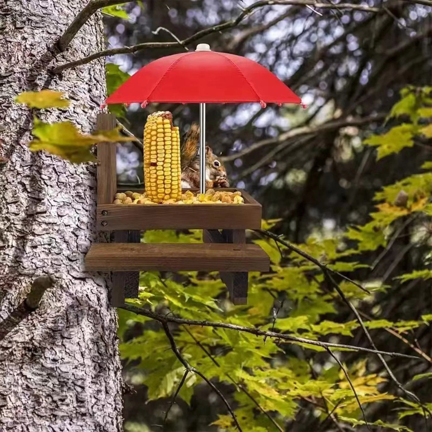 The Squirrel Snack Shack: Backyard Bistro Table