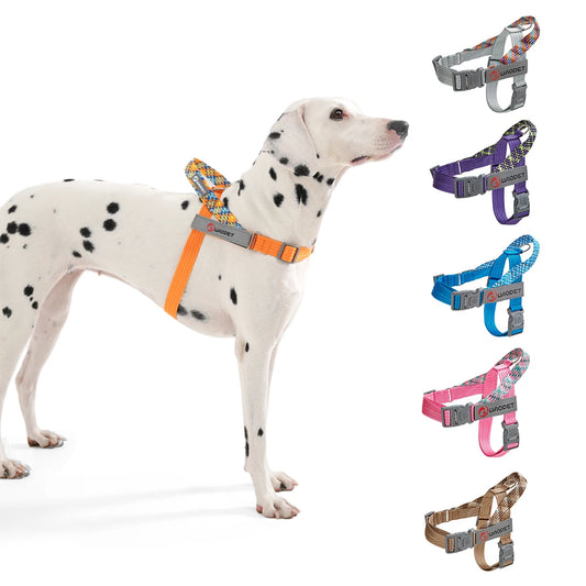 Stridezilla Harness
