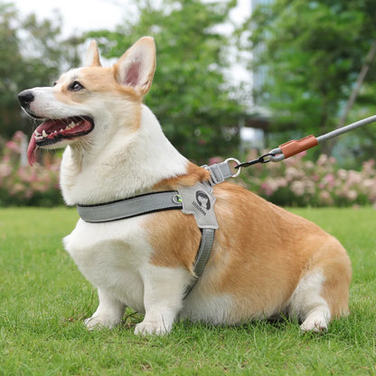 PawVoyage Mesh Harness