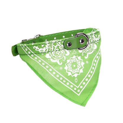 Wag & Whisker Scarf Collar