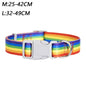 PrideStride Leash & Collar Set