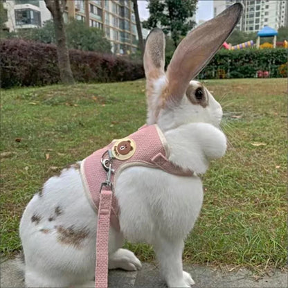 HopAlong Rabbit Harness and Leash