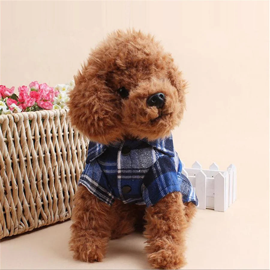 Pawsh Plaid Coat
