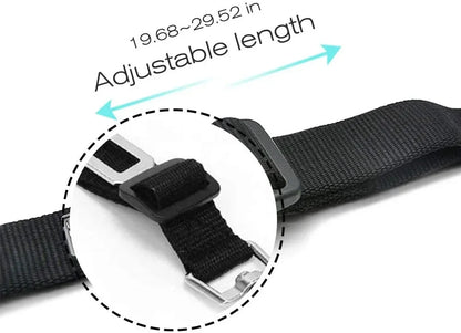 Sit, Stay & Buckle Pet Car Safety Belt