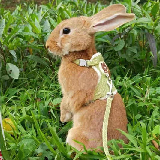 HopAlong Rabbit Harness and Leash