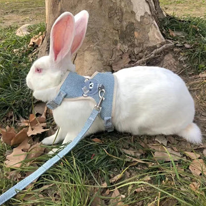 HopAlong Rabbit Harness and Leash