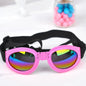 PawzShadz Foldable Goggles