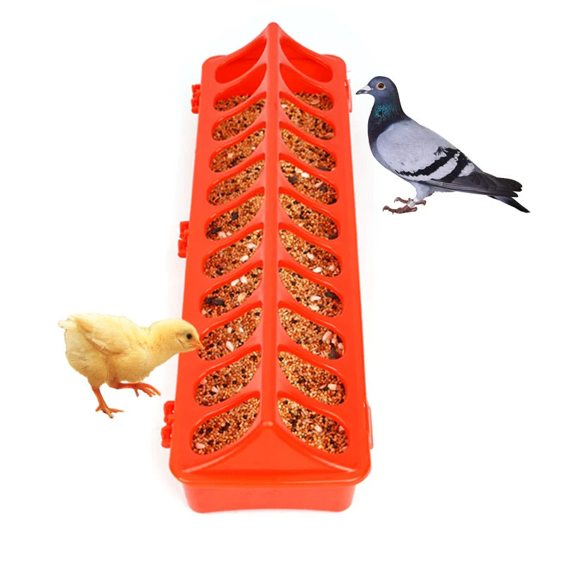 Peck & Feast Poultry Feeder