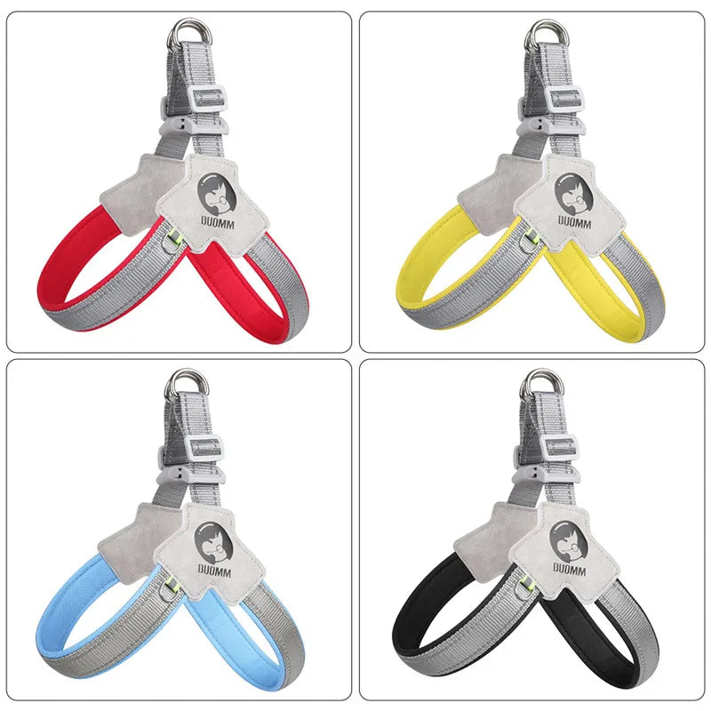 PawVoyage Mesh Harness