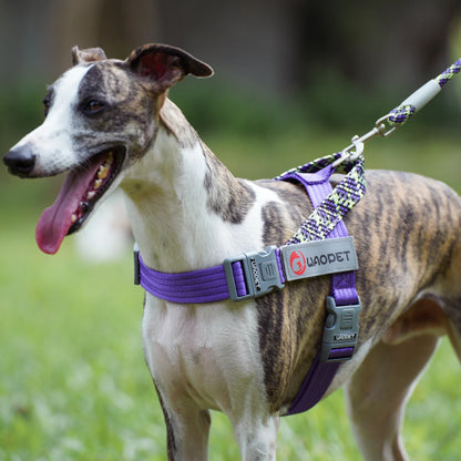 Stridezilla Harness